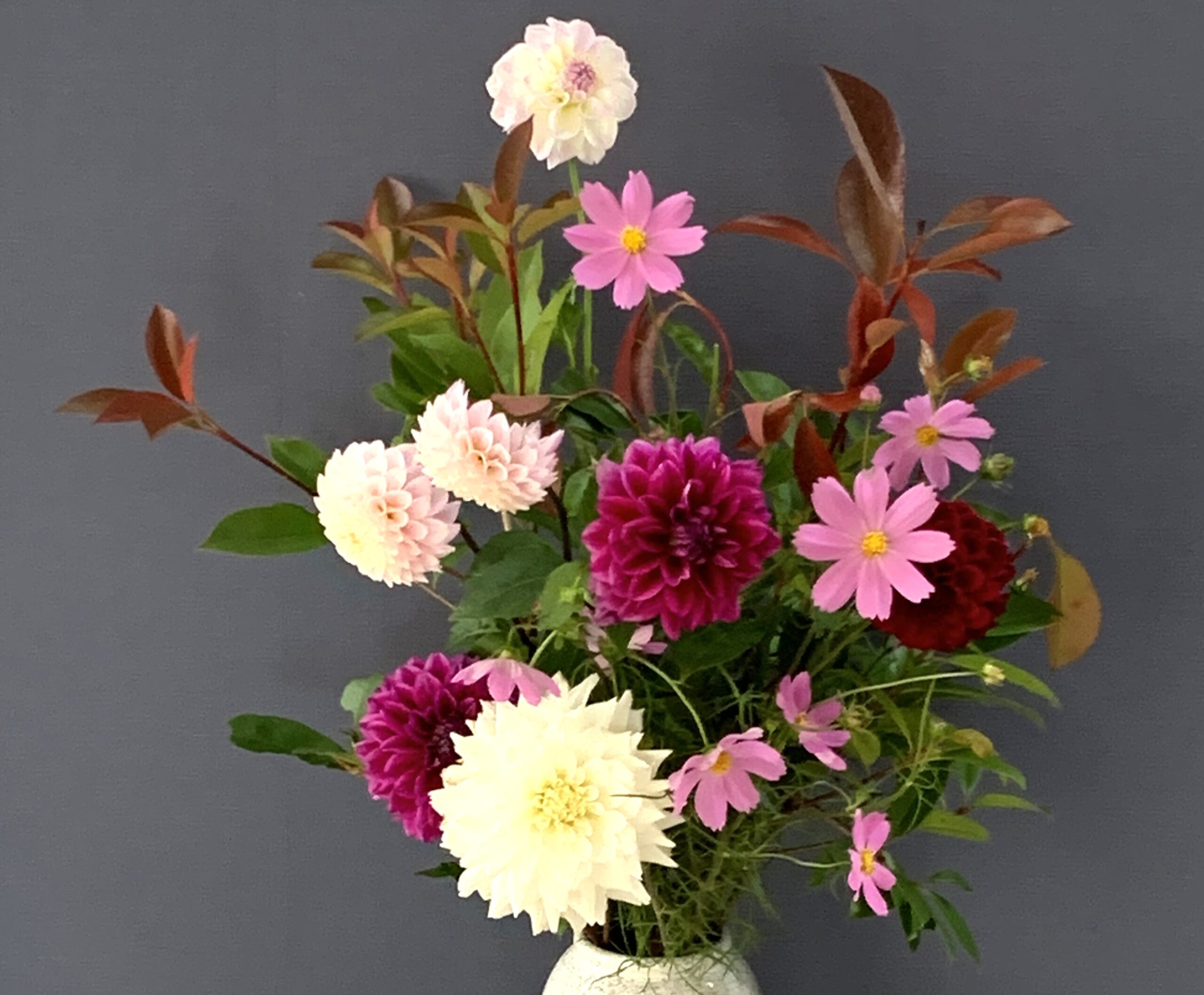 支部会議開きました～  秋田第一支部の「サンガデザイン」　する⁈