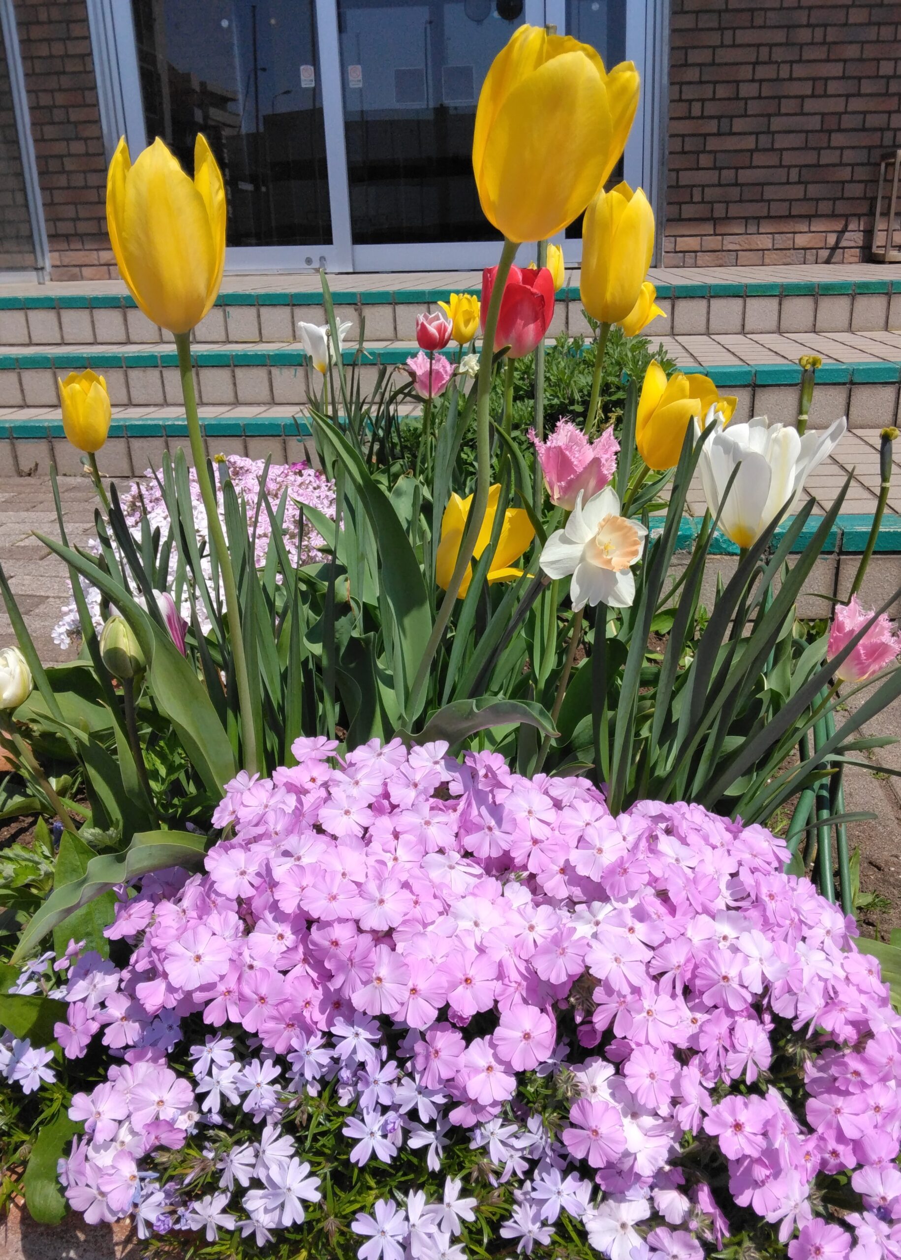 法輪部「卯月の集い」