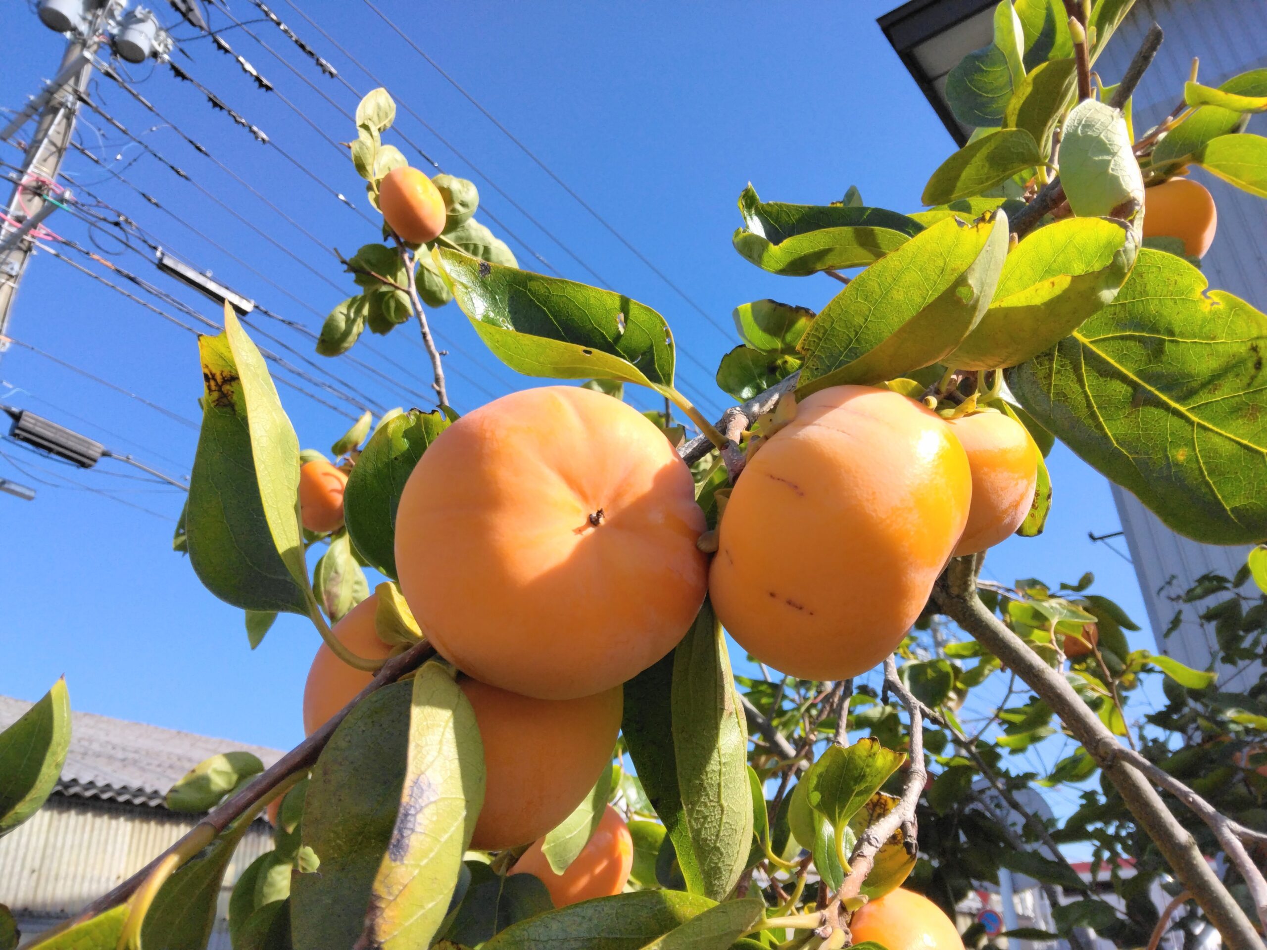 神無月の集い